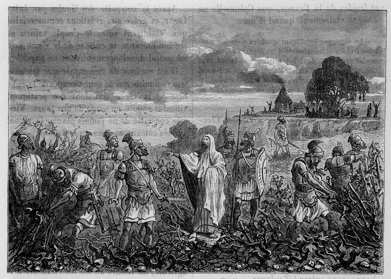 Vinrankorna rycktes upp i gallerna, på order av kejsar Domitianus - i "" Industrins underverk"" av Louis Figuier, Paris av Unknown artist