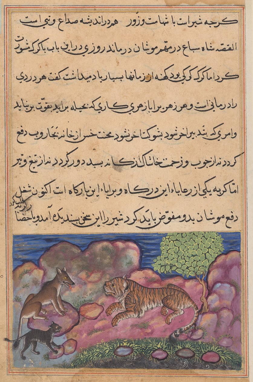 Vargen råder lejonet att konsultera katten, från en Tuti-nama (Berättelser om en papegoja): Femtonde natten av Unknown artist