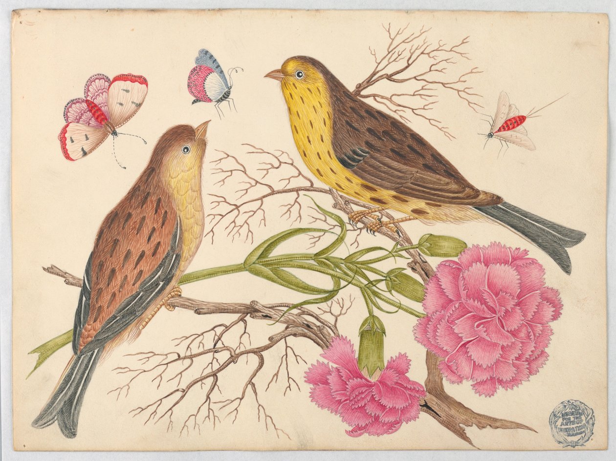 Två brun-gula fåglar på grenar med nejlikor och insekter av Unknown artist