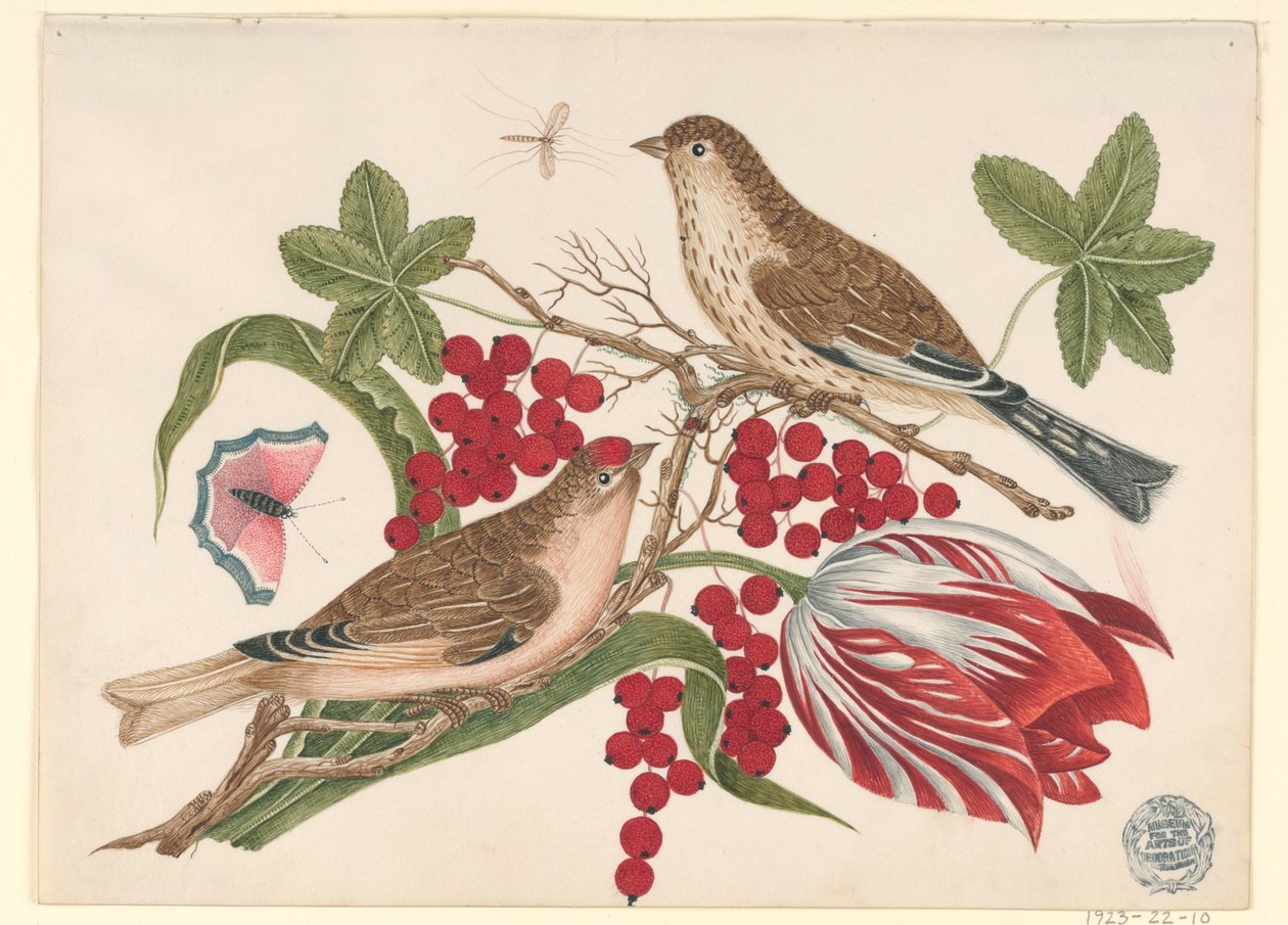 Två bruna fåglar på gren med tulpan, bär och insekter av Unknown artist