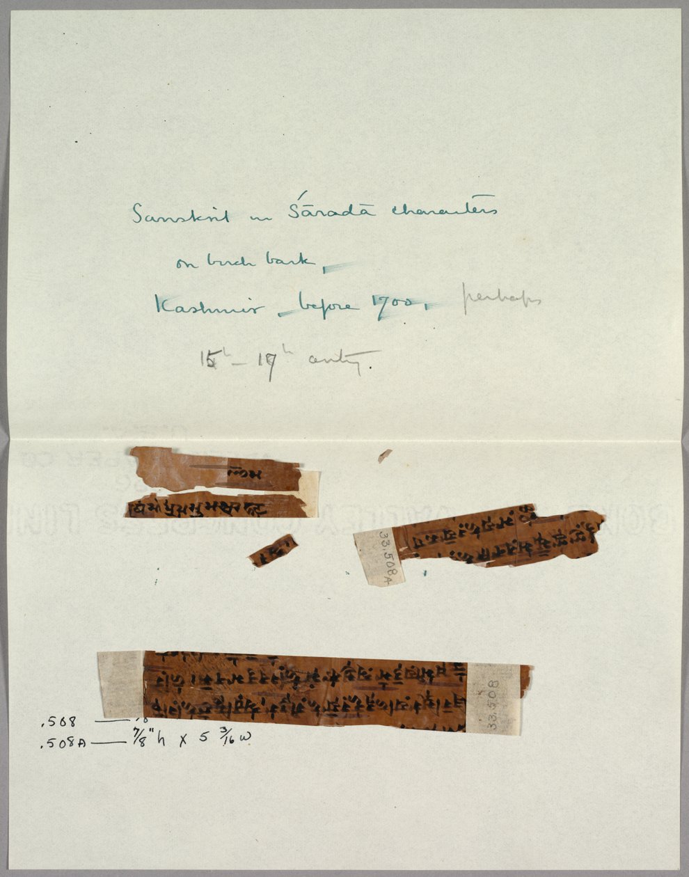 Två fragment av bark med sanskrit av Unknown artist