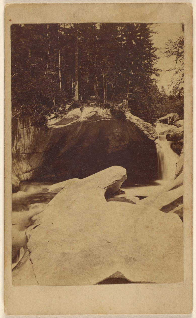[Oidentifierad skogsvy med klippor och grotta] av Unknown artist