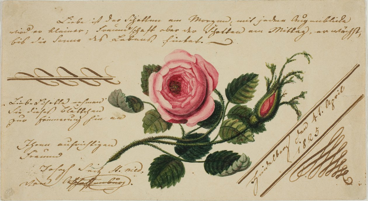 Untitled Valentine (Pink Flower) av Unknown artist