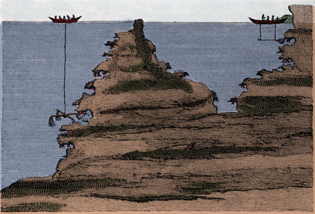 Användning av två typer av nät för korallfiske. Till höger salabern, till vänster hantverket. Gravyr från "" Havets fysiska historia"" av sagan Marsilli, Amsterdam av Unknown artist