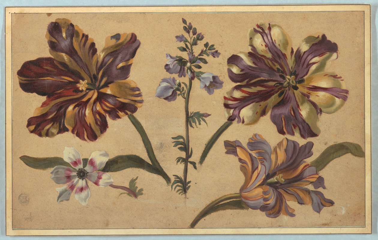 Olika blommor av Unknown artist