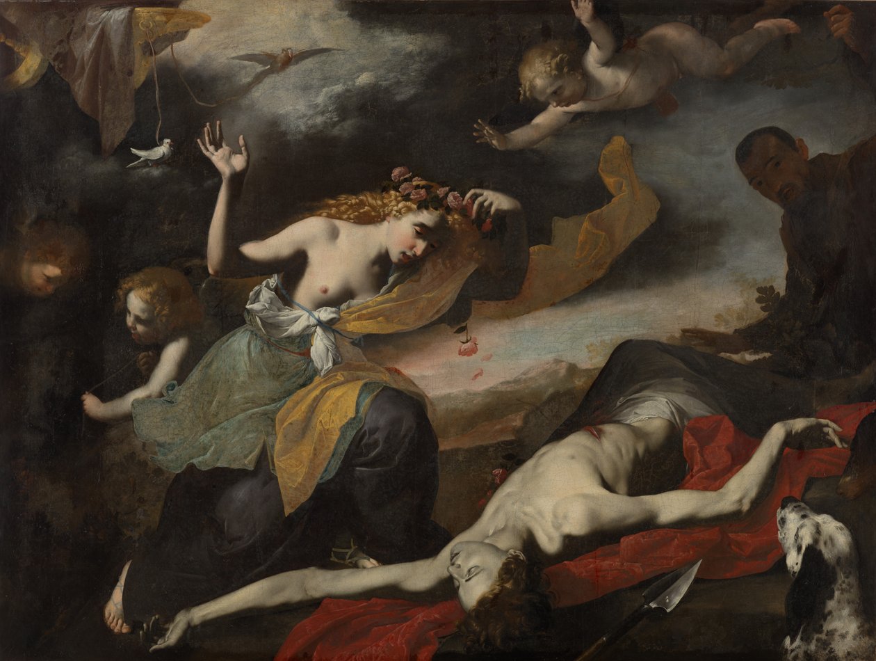 Venus upptäcker den döda Adonis av Unknown artist