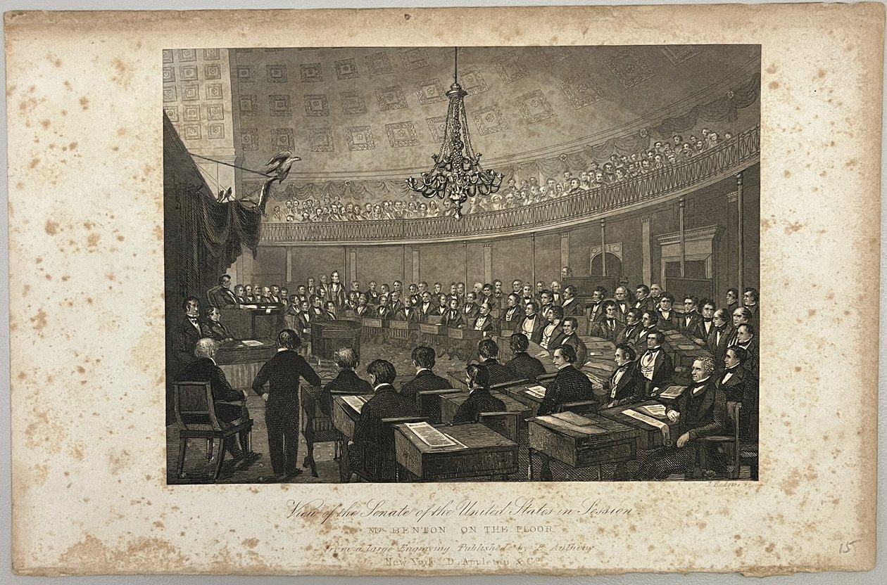 Vy över USA:s senat i sammanträde av Unknown artist