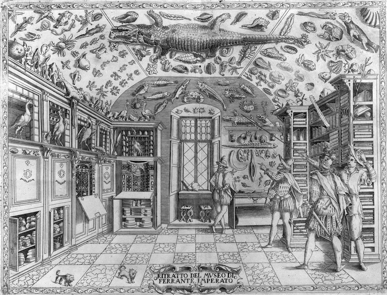 Utsikt över museet (kabinettet) av kuriosa (uppslagsverksmuseet) av apotekaren Ferrante Imperato (1550 - 1631). Gravyr från 1678. Museum för den napolitanska apotekaren Ferrante Imperato. av Unknown artist