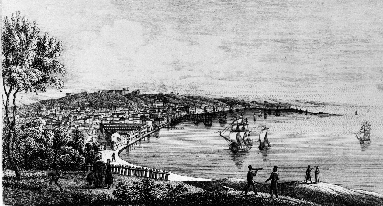 Vy över hamnen i staden Trieste (under den österrikiska perioden), gravyr från 1800-talet. av Unknown artist