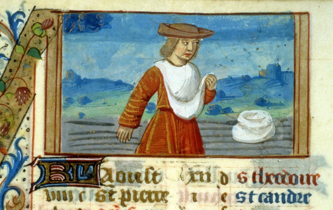 Jungfrusådd och zodiaken - Medeltidens miniatyr (ref. 137, 049v) - Begär tillstånd från Toulouses kommunala bibliotek (tel: 05 62 27 66 66) av Unknown artist