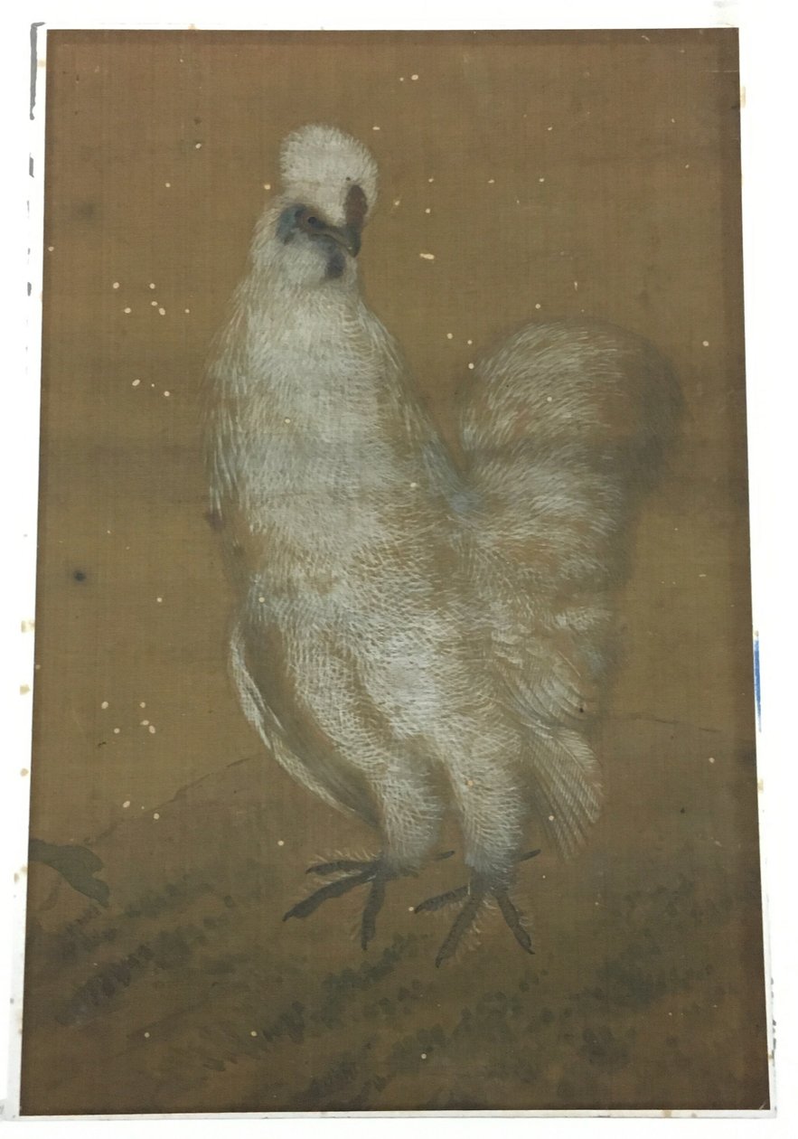 Vit tupp av Unknown artist