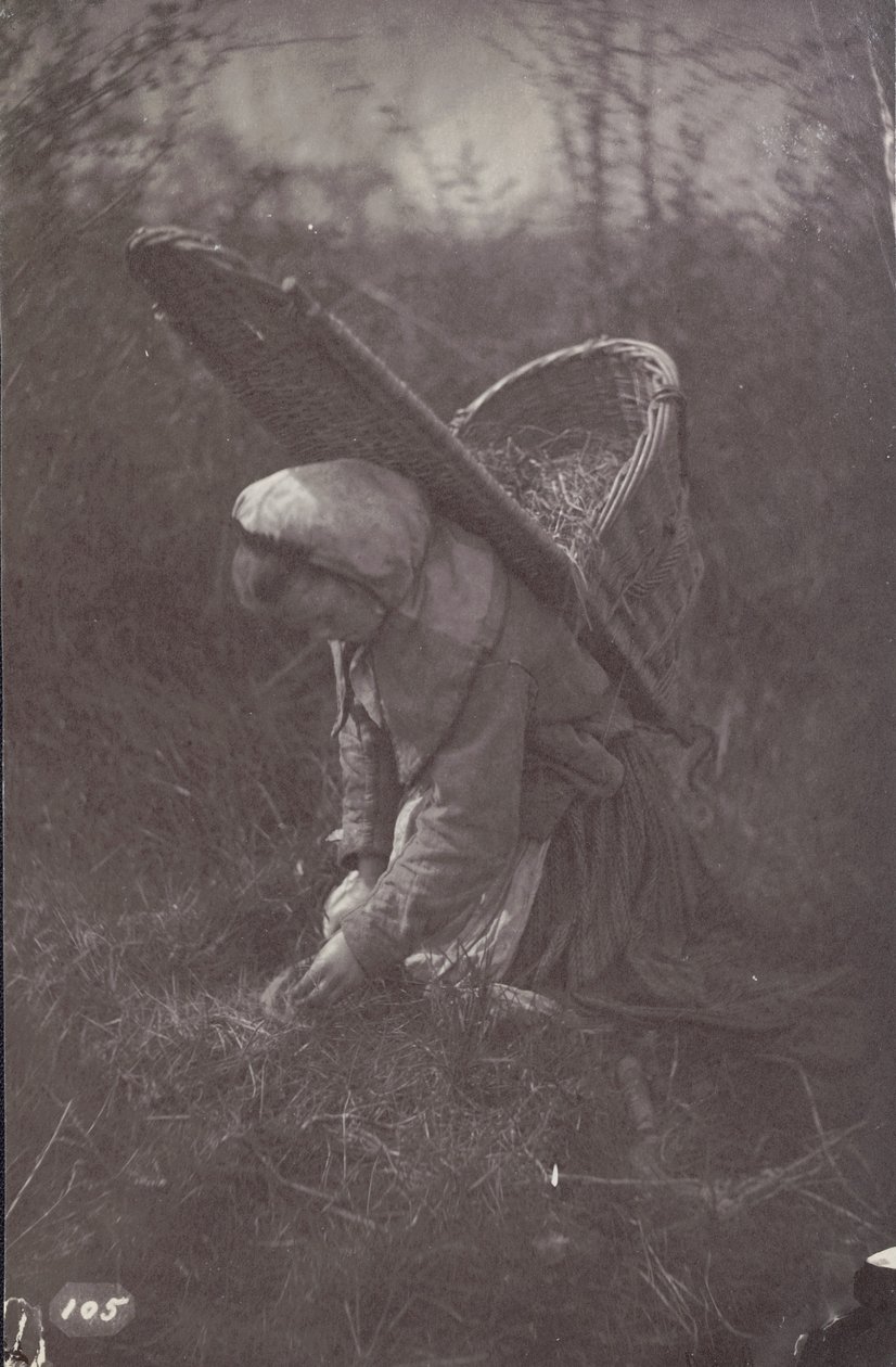 [Kvinna med korg på ryggen] av Unknown artist
