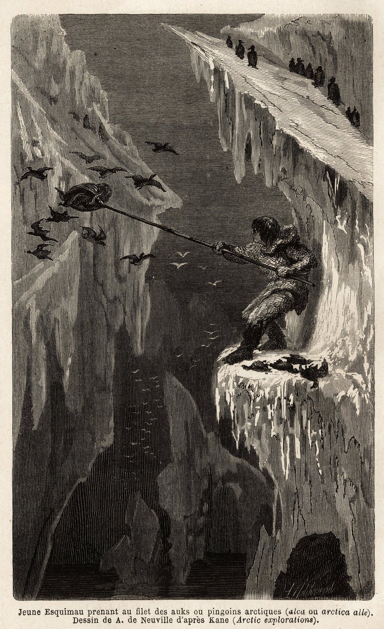 Ung eskimau som fångar arktiska pingviner. Gravyr för att illustrera resan till den arktiska polens fria hav, av doktor Hayes, kirurg vid den amerikanska flottan, 1860-1862, publicerad i "Le tour du monde, nouveau journal des voyages", redigerad av Edouard av Unknown artist