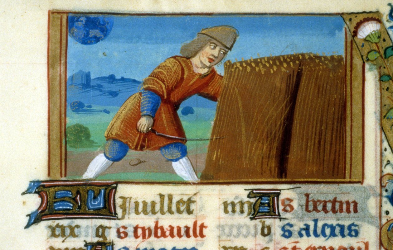 Zodiac Lion and Harvest - Miniatyr av medeltiden (ref. 137, 049r): Begäran om tillstånd från kommunalbiblioteket i Toulouse (tel: 05 62 27 66 66) av Unknown artist