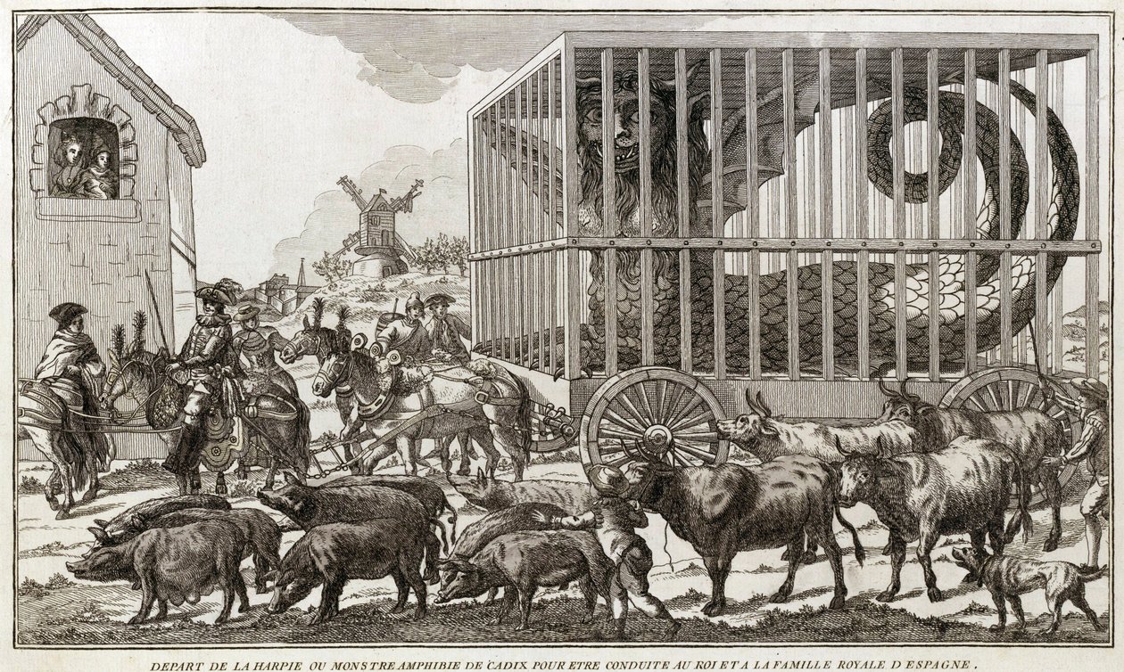 Zoomorphism - Karikatyr mot Maria - Antoinette - Avgick från harpyn eller amfibiemonstret i Cadiz för att föras till kungen och kungafamiljen i Spanien: Detta djur togs vid stranden av Faguasjön - 1784 - av Unknown artist