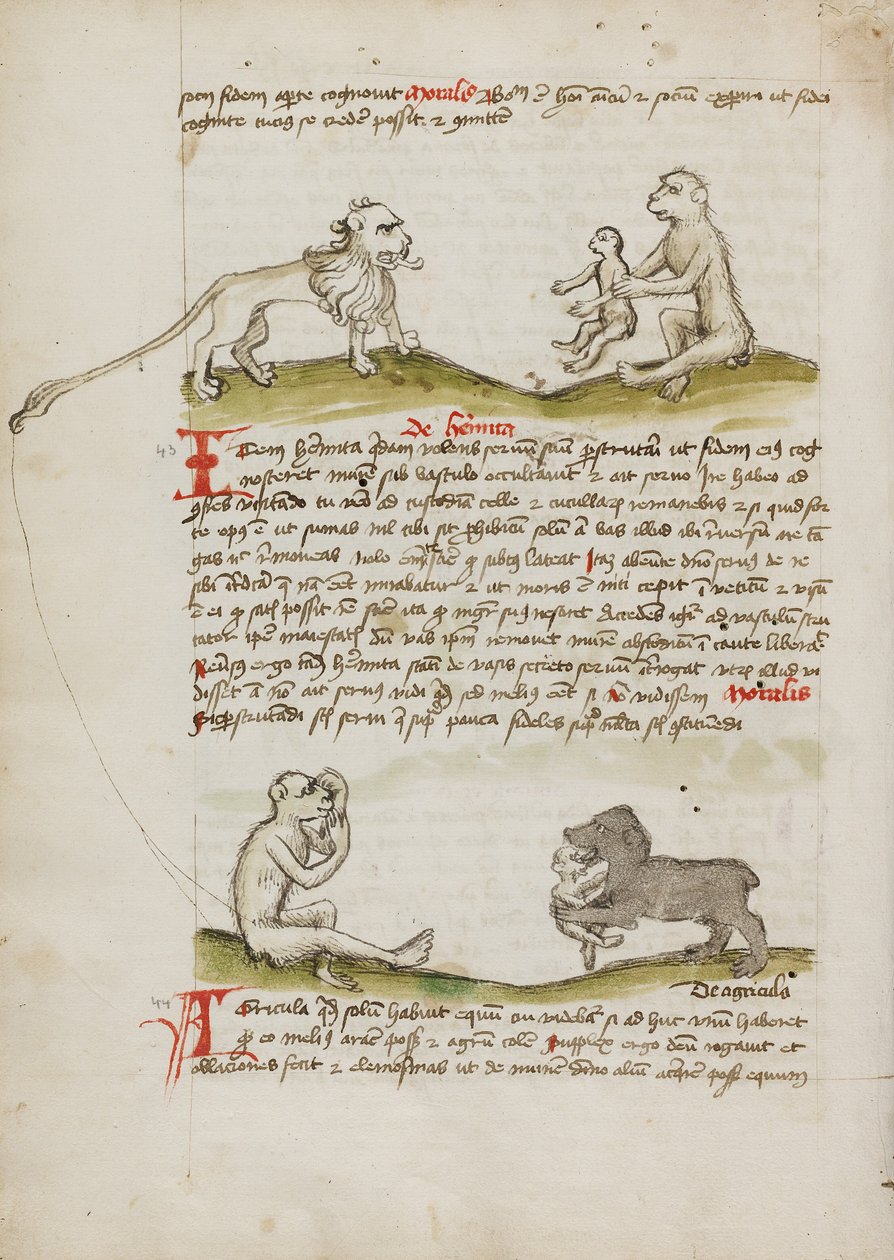 Ett lejon med en apa och hans unge; En apa; En björn som äter en ung apa av Unknown artist/maker