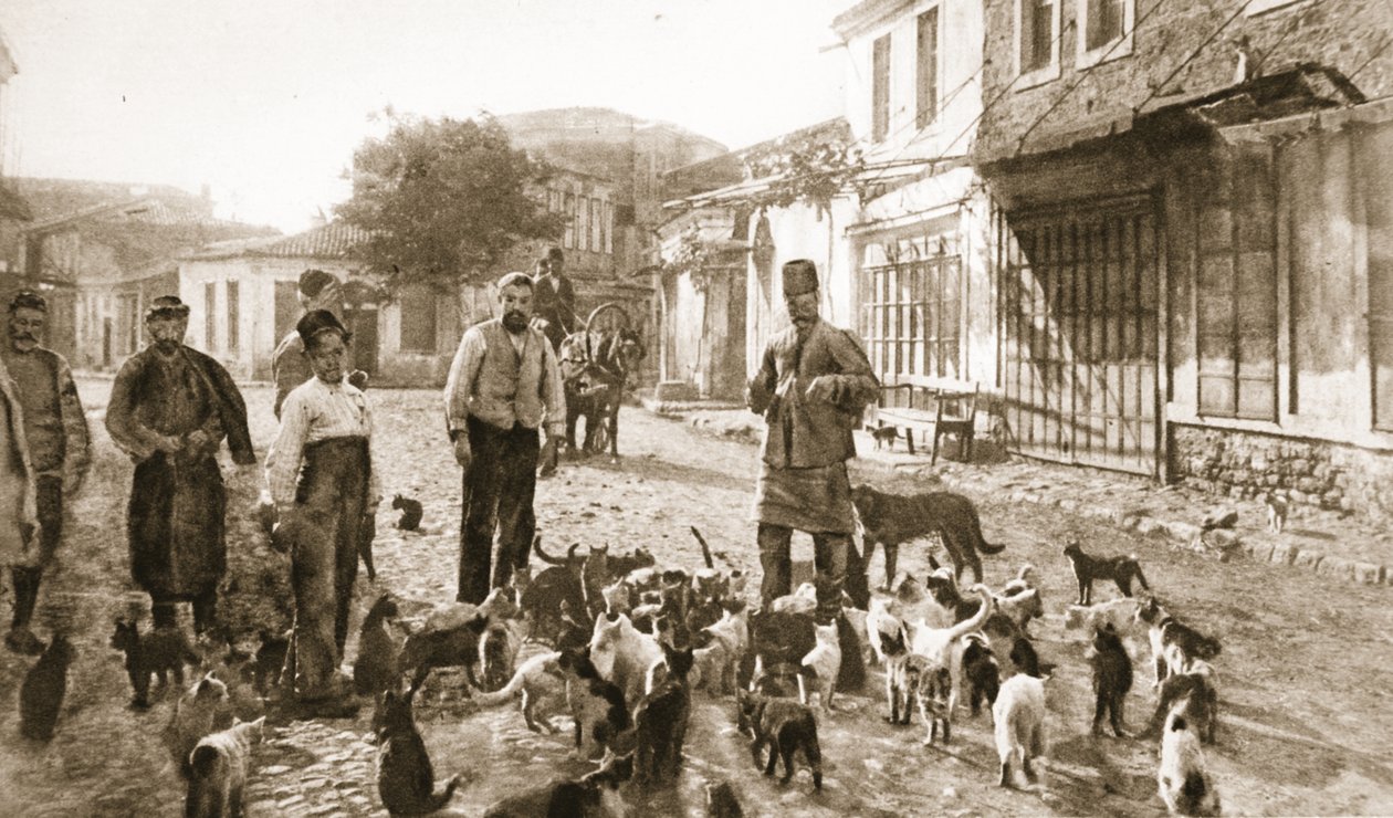 En turks vänlighet mot "den ofarliga, nödvändiga katten": matning av hemlösa fittor i Chanak efter bombningen, ur "The Illustrated War News" (litografi) av Unknown photographer