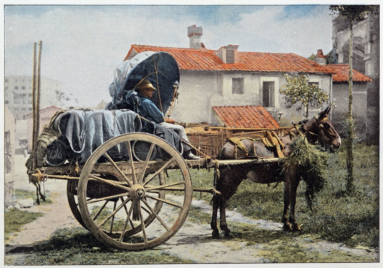 En åkare som bär hans vin. Rom, Italien, sent 1800-tal. av Unknown photographer