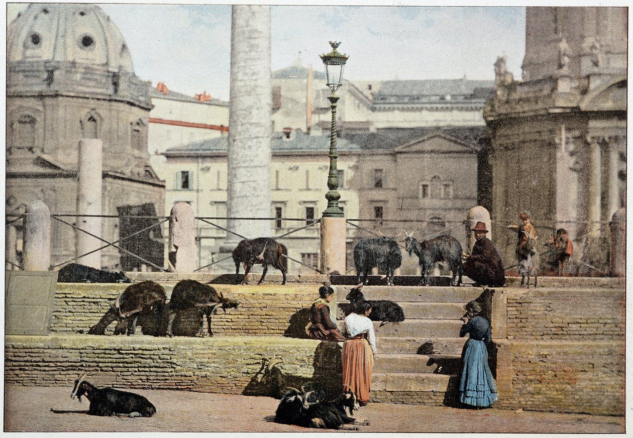 Antikens Rom: utsikt över Rom Forum. Italien, sent 1800-tal. av Unknown photographer