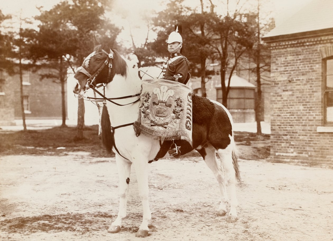 ?Trumhäst, 3rd Prince of Wales?s Dragoon Guards?, 1895 ca. av Unknown photographer