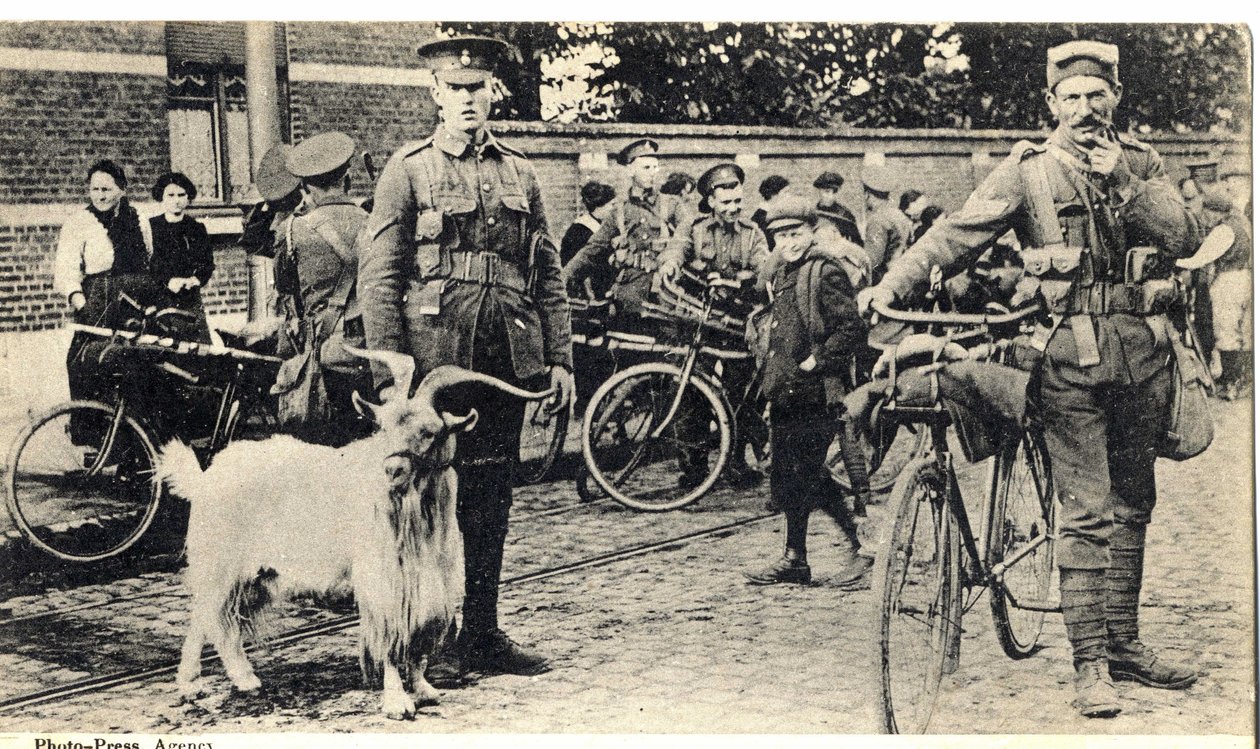 Gat: maskot för soldaterna under första världskriget (1914-1918). av Unknown photographer