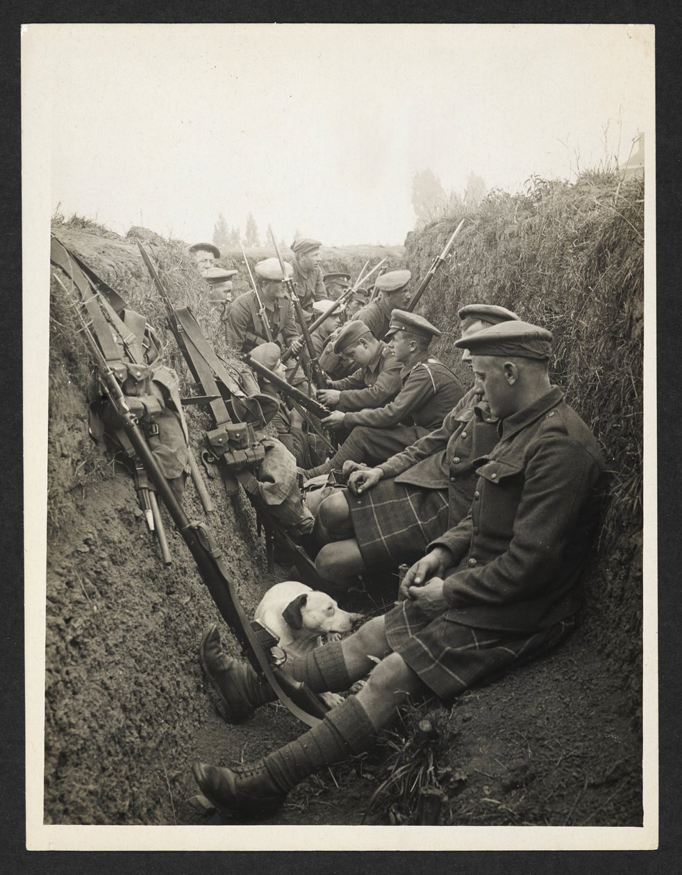 Territorialsoldater från Highland i en skyttegrav [La Gorgue, Frankrike]. 5 augusti 1915. av Unknown photographer