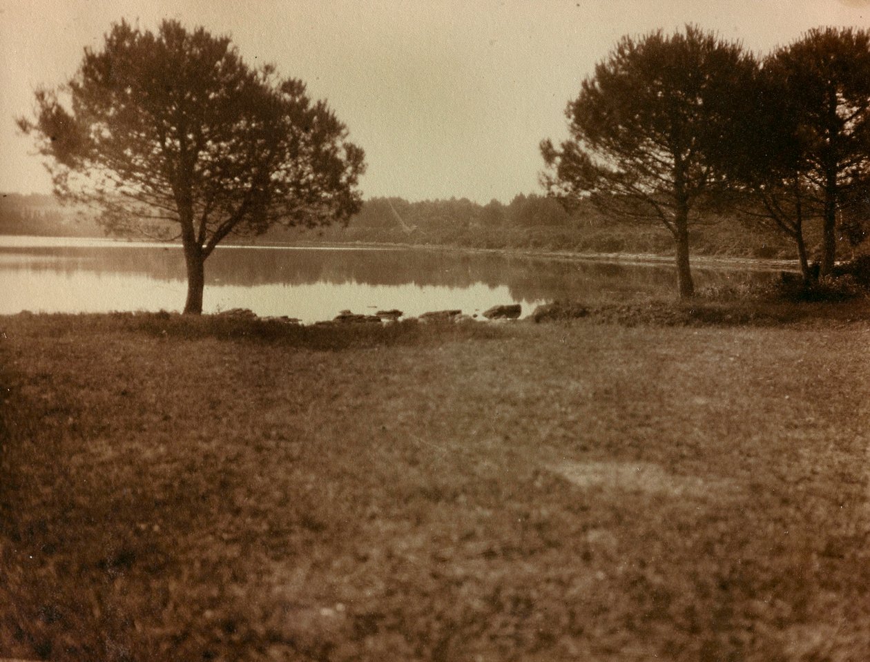 Landskap på Brijuniöarna av Unknown photographer
