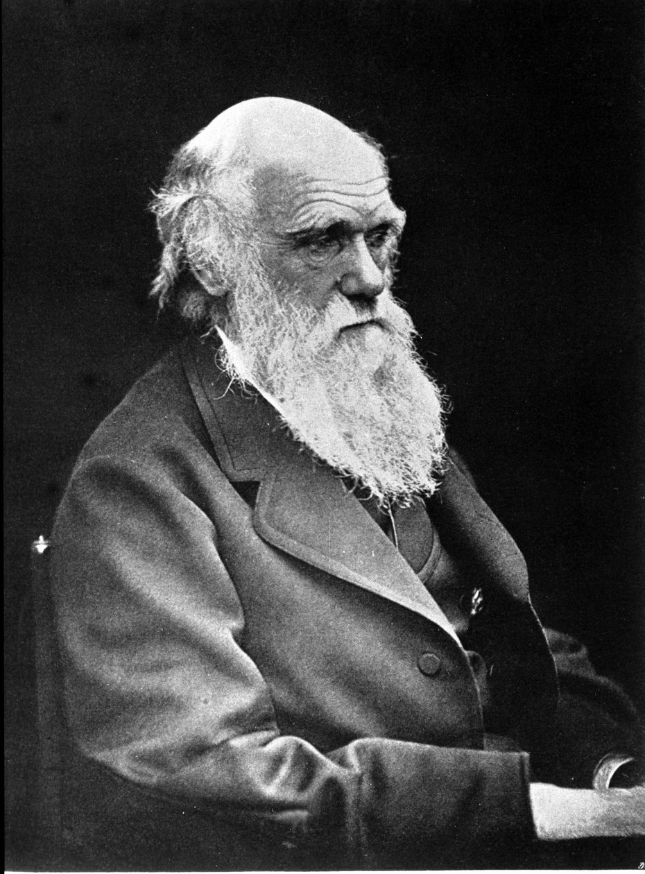 Fotografiskt porträtt av Charles Darwin (1809 - 1882), engelsk naturforskare. 1881 av Unknown photographer