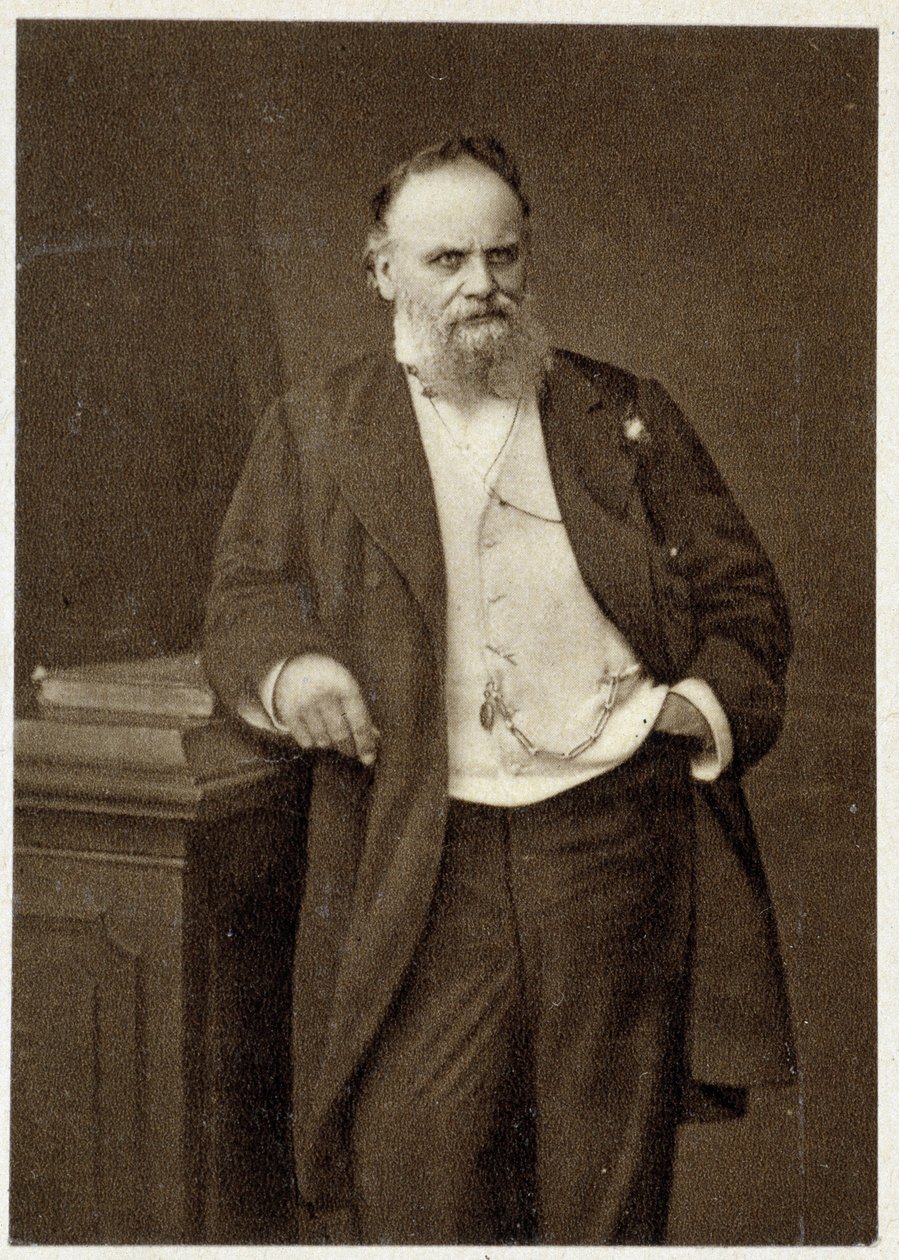 Porträtt av Aristide Boucicaut (handlare och filantropisk) 1874. av Unknown photographer