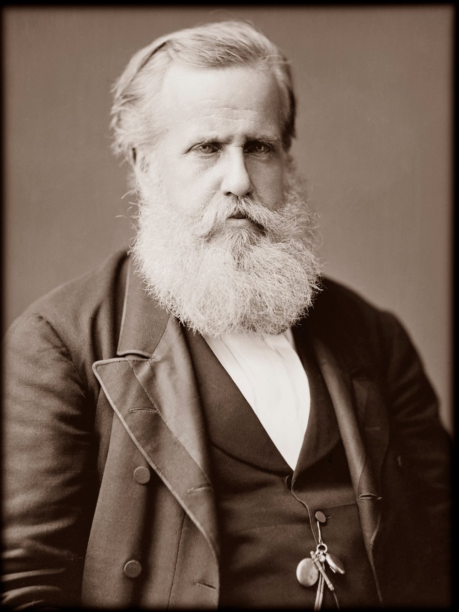 Porträtt av Dom Pedro II (Peter II) (Dom Pedro de Alcantara) (1825-1891), kejsare av Brasilien av Unknown photographer