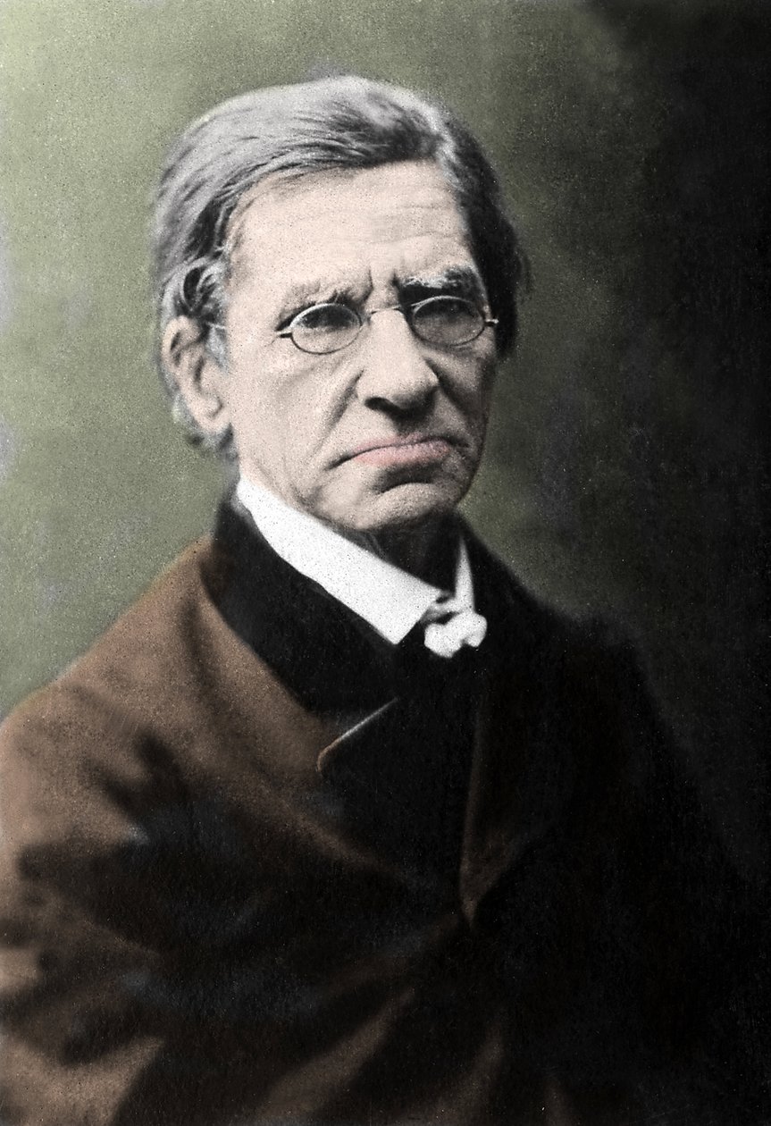 Porträtt av Emile Littre (1801-1881), fransk filolog, läkare och politiker. av Unknown photographer