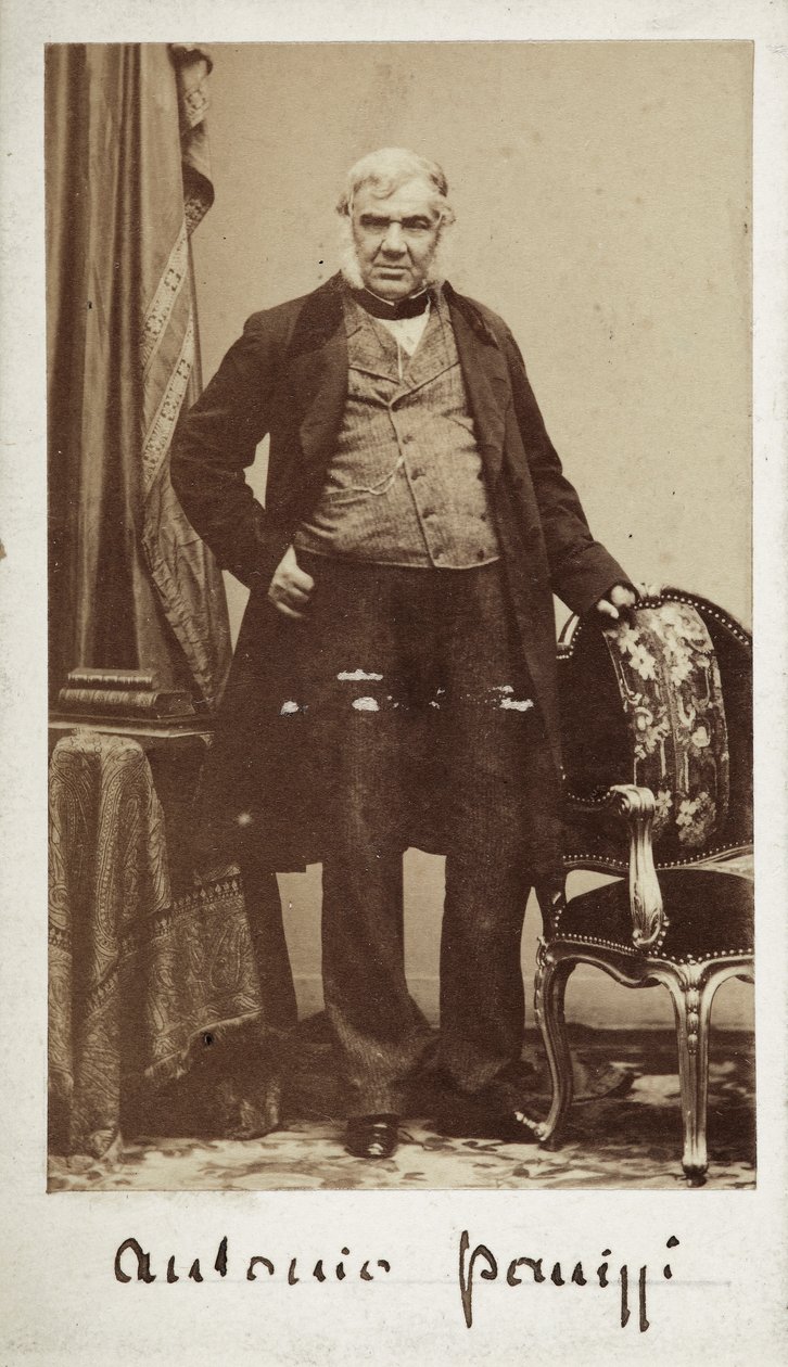 Porträtt av senator Antonio Panizzi (1797-1879), chef för British Museums bibliotek av Unknown photographer