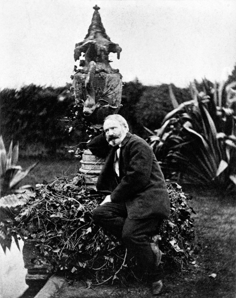 Porträtt av Victor Hugo av Unknown photographer