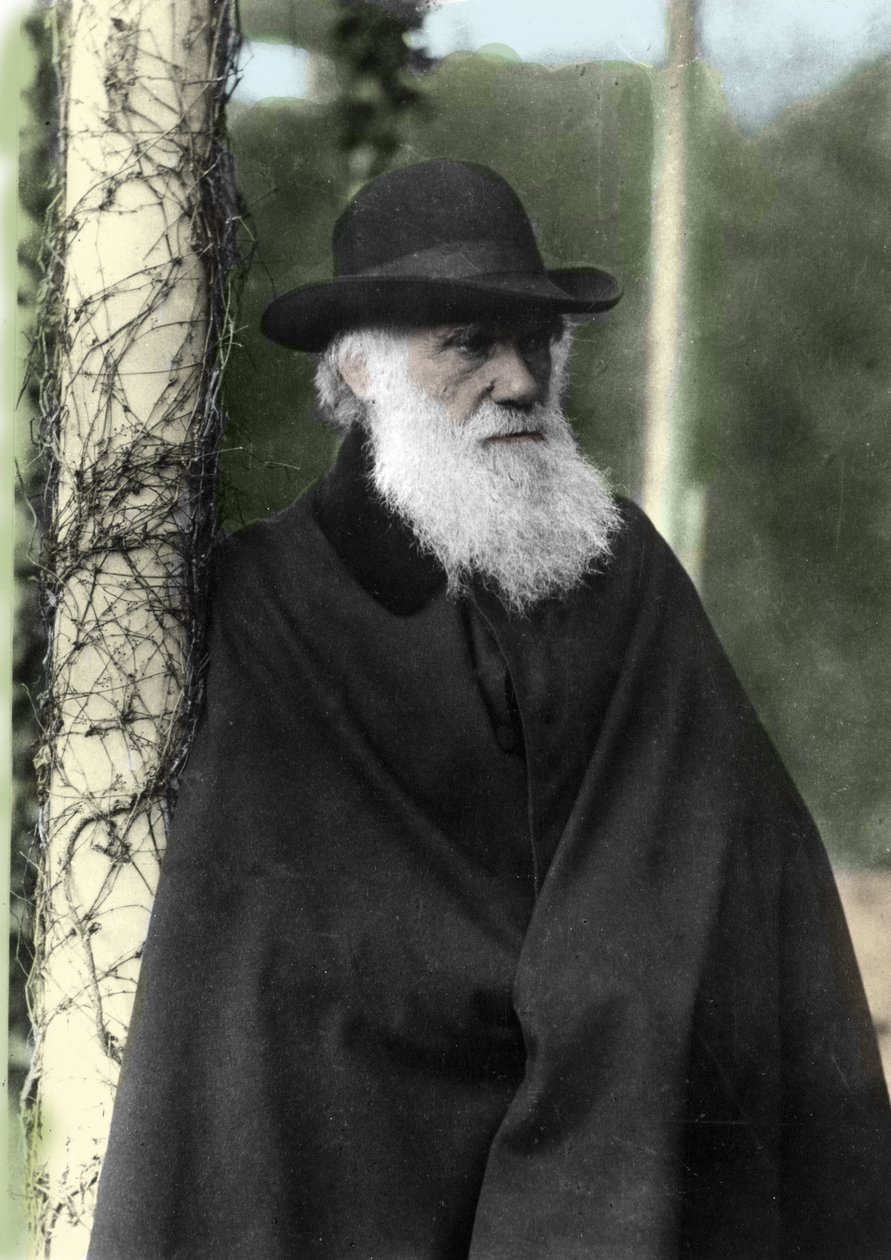 Fotografiskt porträtt av Charles Darwin (1809 - 1882), engelsk naturforskare 1881. av Unknown photographer