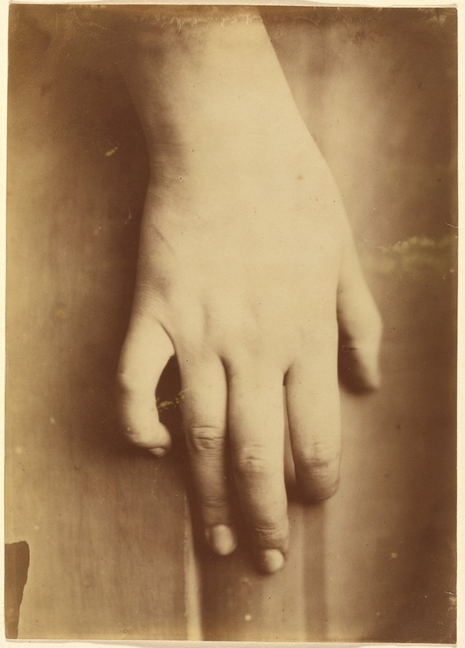 Studie av en hand,1865 (foto) av Unknown photographer