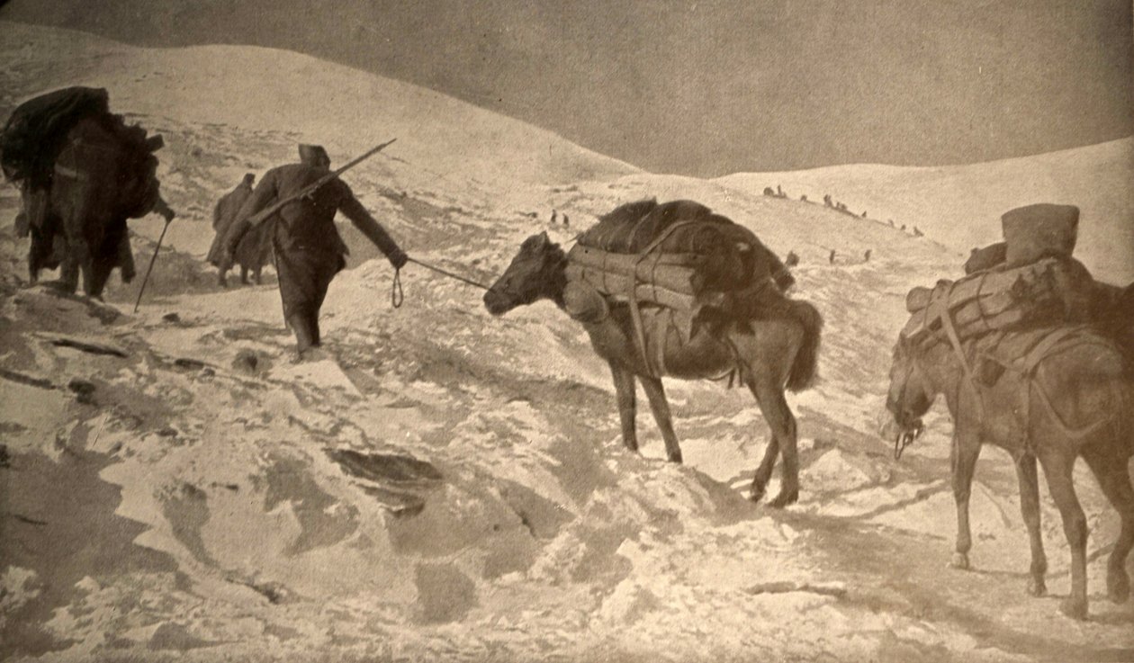 De franska och italienska positionerna har mer än 2 meter snö över havsnivån av Unknown photographer