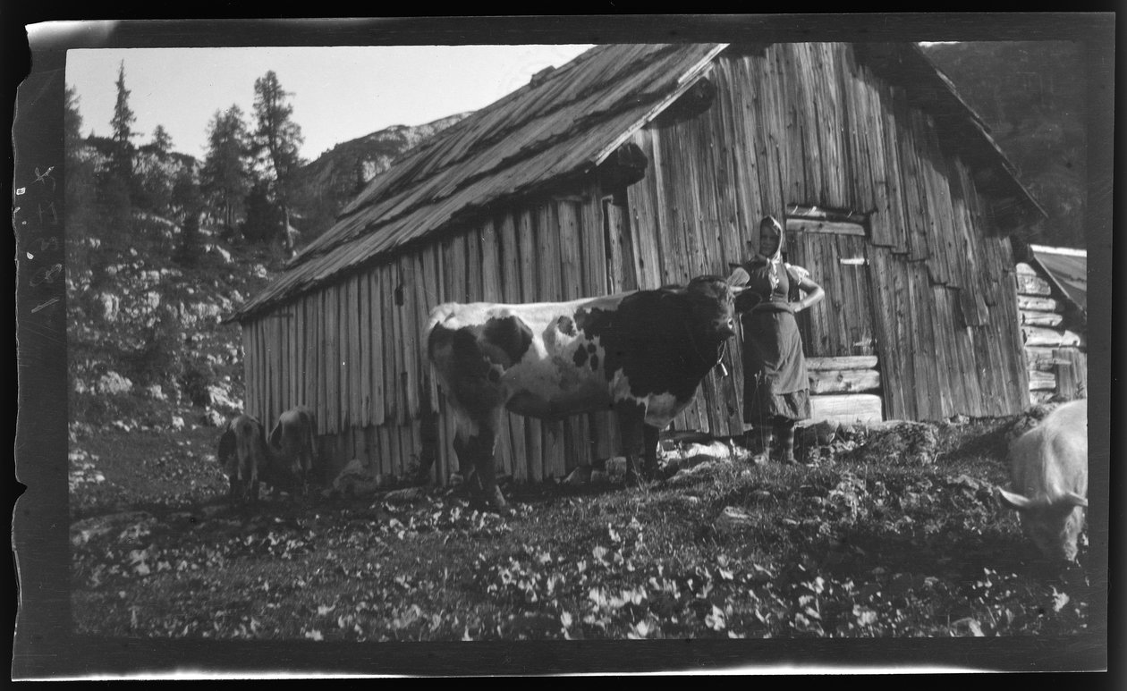 Vorderbachalm (bergsbete) med alpstuga nära Goessl vid Grundlsjön av Unknown photographer