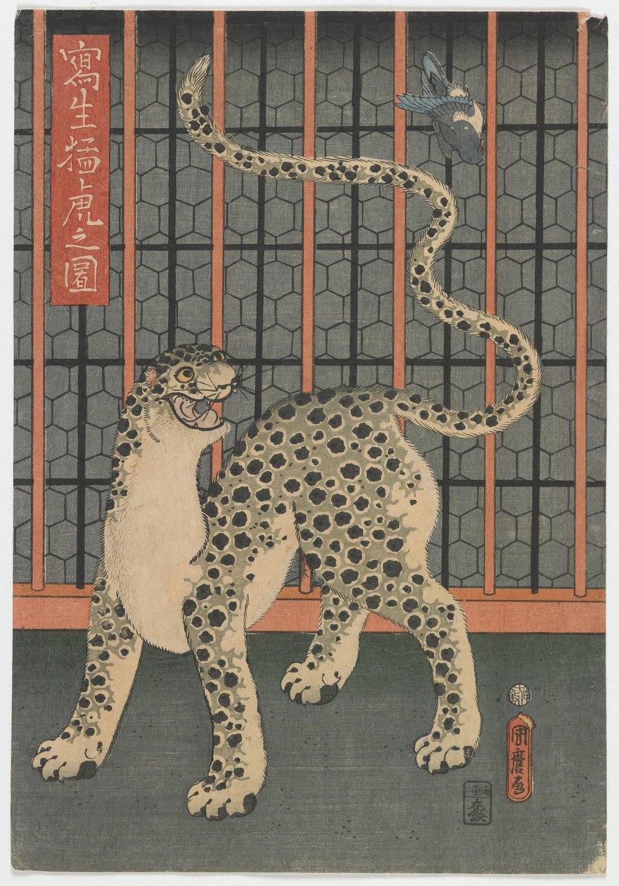 A Leopard Drawn from Life, Edo-perioden, 1860 (trätryck i färg) av Utagawa Kunimaro