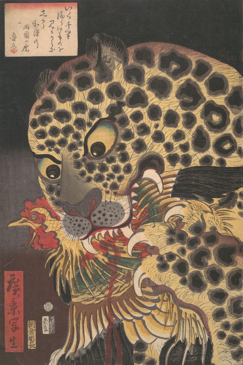 "The Tiger of Ryokoku," från serien True Scenes av Hirokage, 8:e månaden, 1860., av Utagawa Hirokage