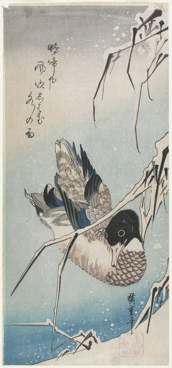 (Anka och snöiga vass), tidigt 1830-tal av Utagawa Hiroshige