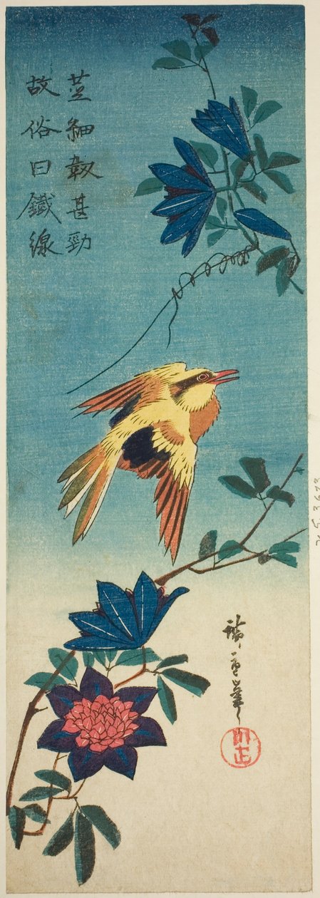 (Faksimil?) Svartnackad oriole och klematis av Utagawa Hiroshige
