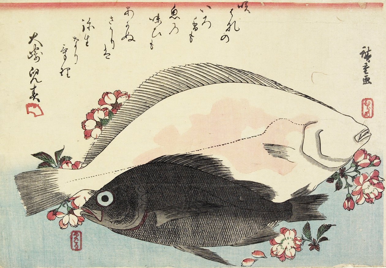 (Fluke and Black Bass, Cherry Blossoms) av Utagawa Hiroshige
