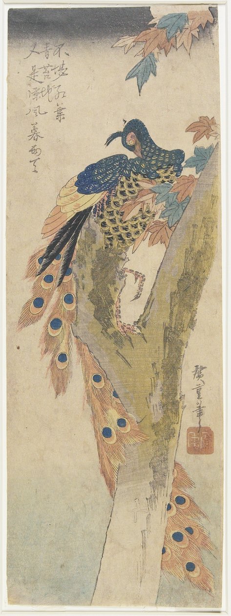 (Påfågel på lönnträd), tidigt 1800-tal av Utagawa Hiroshige