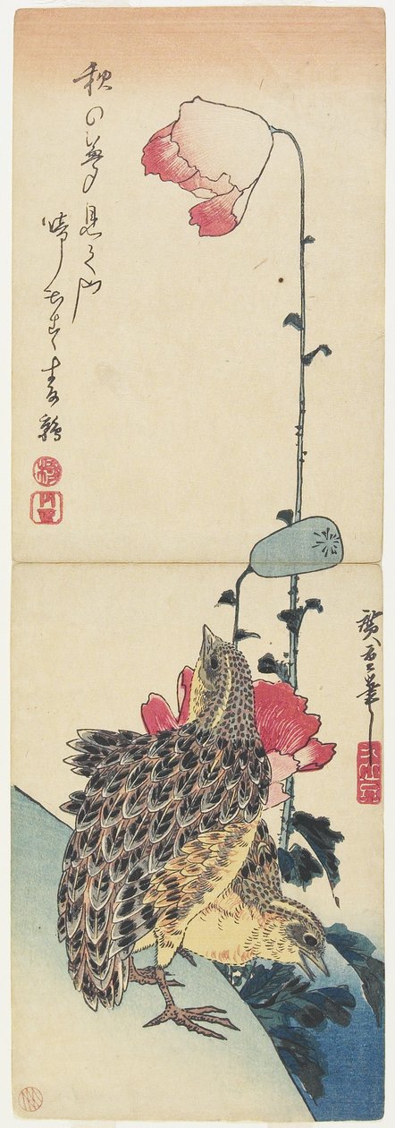 (Vagtel och vallmo), 1830-1858 av Utagawa Hiroshige