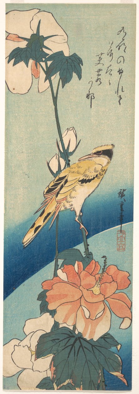 Ein Schwarzrückenpirol auf einem Hibiskusstängel av Utagawa Hiroshige