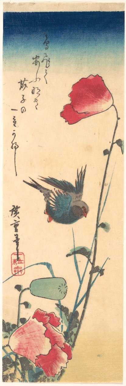 Ein Blaukehlchen und Mohnblumen av Utagawa Hiroshige