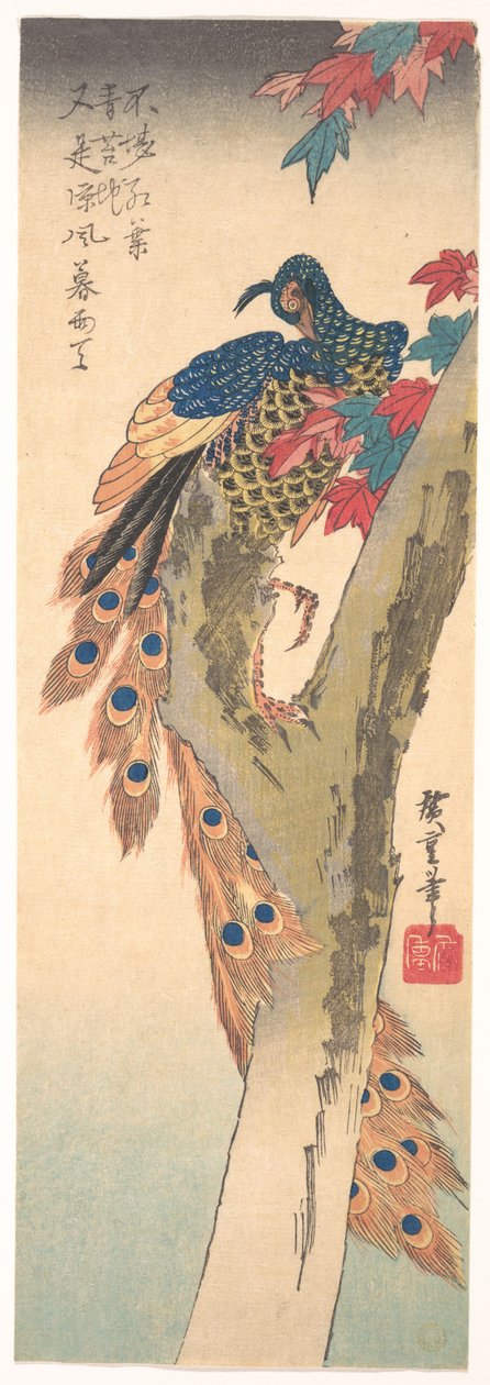 En påfågel som sitter på en lönn av Utagawa Hiroshige