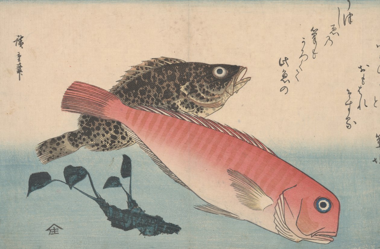 Kakelfisk, stenfisk plan d wasabi väg t av Utagawa Hiroshige