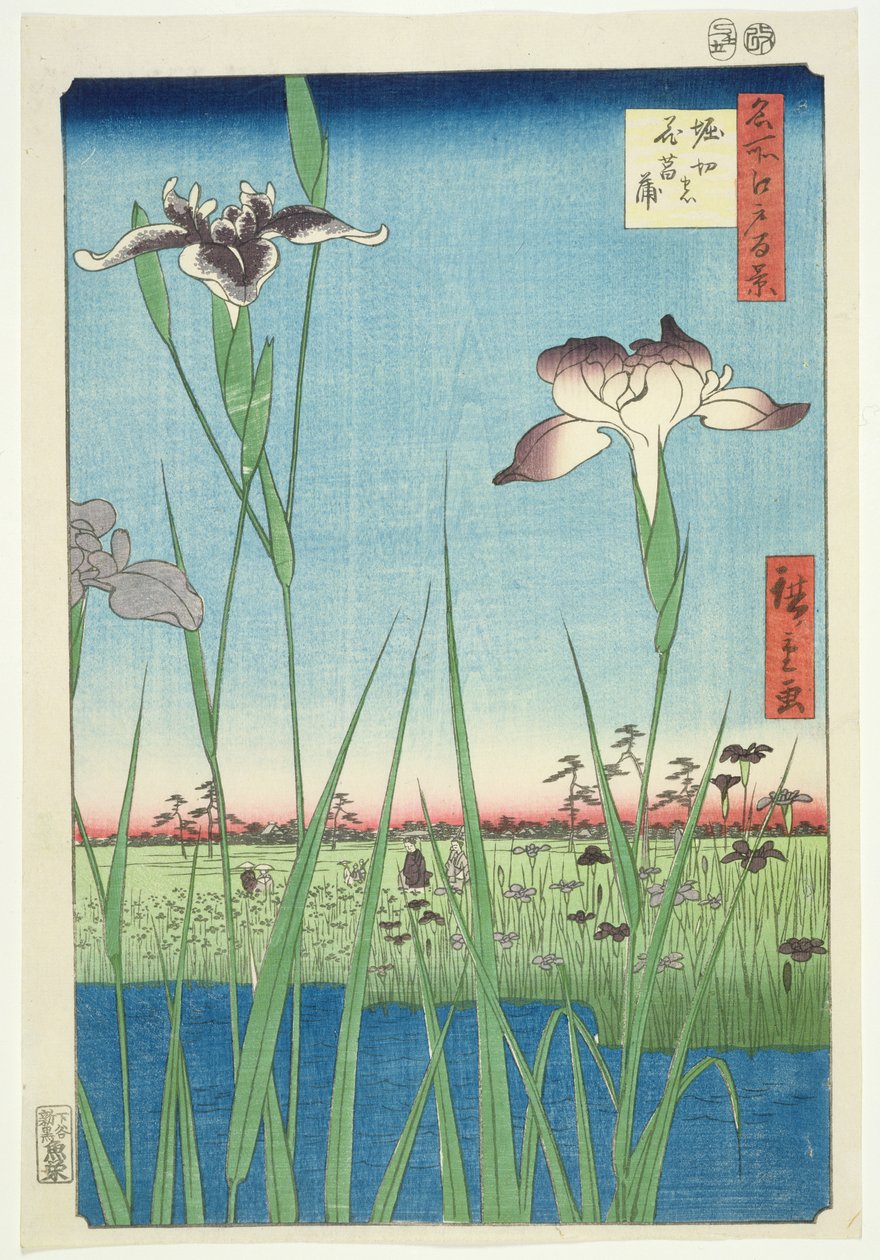 BM.Cat.440 Irises at Horikin, nr 56 i serien "100 Views of Edo", ("Meisho Edo hyakkei"), pub. 1857, (träsnitt i färg) av Utagawa Hiroshige
