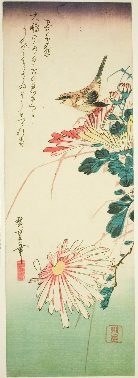 Fågel och krysantemum av Utagawa Hiroshige
